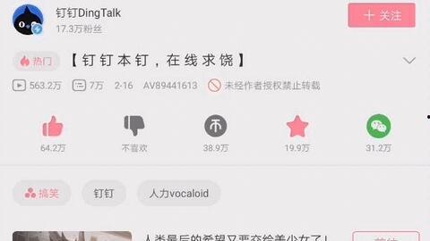 怎样提取B站视频音频,轻松掌握音频提取技巧